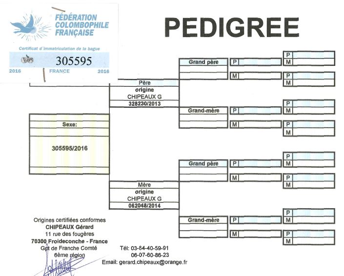 pedigree