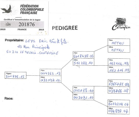 pedigree